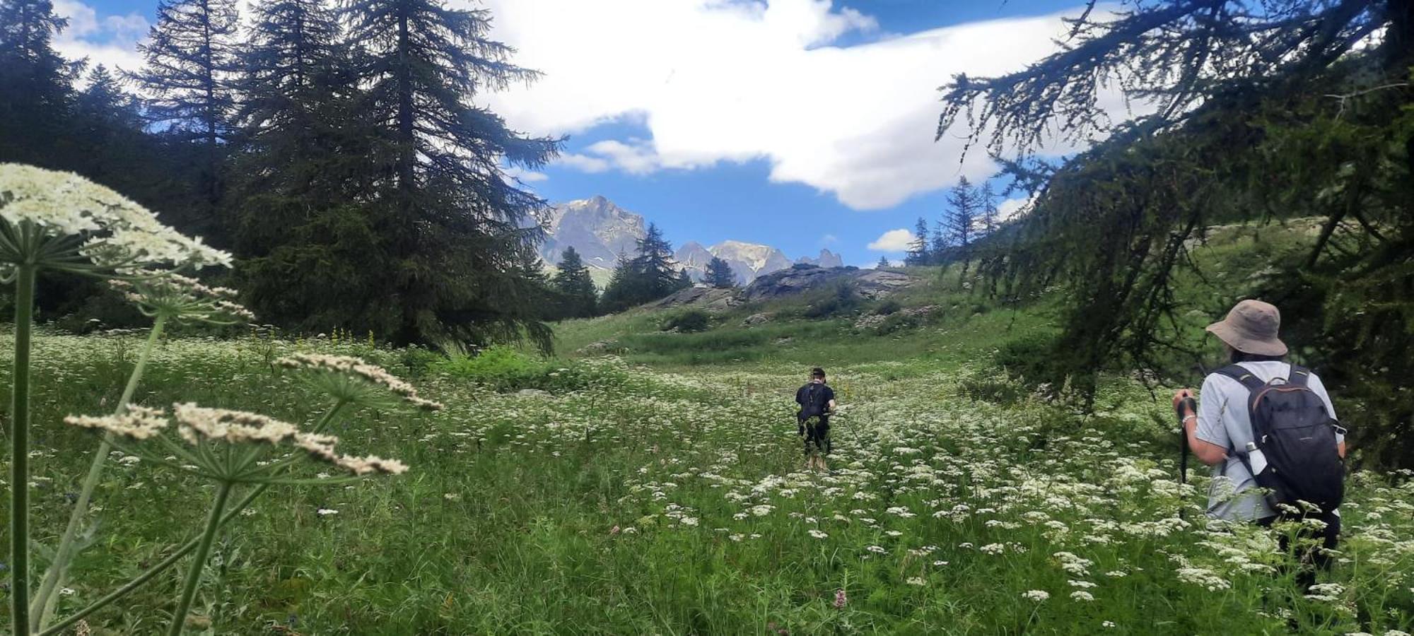 Apartmán Superbe T2 A 2 Pas Des Pistes Et Des Sentiers De Randonnee Briançon Exteriér fotografie